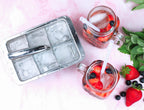 Inland Loom Stainless Steel Ice Trays for Freezer, 12 Large Cubes with Easy Release, 2 Pack